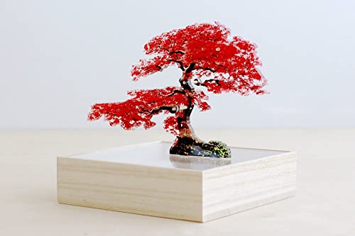 紅葉もみじ壺 Amazon.co.jp: トウメイ 盆栽 ミニ オブジェ 置物 紅葉 もみじ