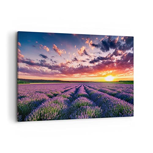 Impression sur toile - Image sur Toile - Un élément - lavande montagnes champ - 100x70cm - Decoration murale - Décoration - Encadrée - Tableau Mural - Tableaux pour la mur - Moderne - AA100x70-3816