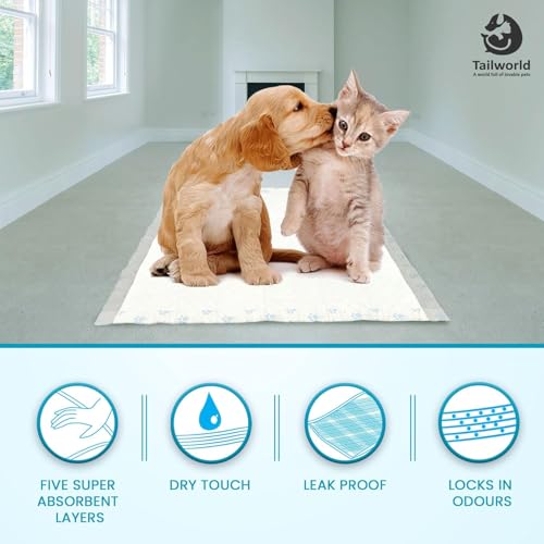 Image of Training Pads, with Odor Lock Technology & Super Absorbent Pee Pads, Leak-Proof Dog Potty Training Pads for Puppies, Dogs,Cats & Rabbits (60 X 60 cm) 50 Pcs