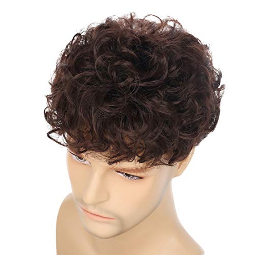 Swiking Men Curly Brown Wig Short Afro Layered Fluffy Synthetic Hair Halloween Party Cosplay Costume Full Wigs (Brown) #TOP5
