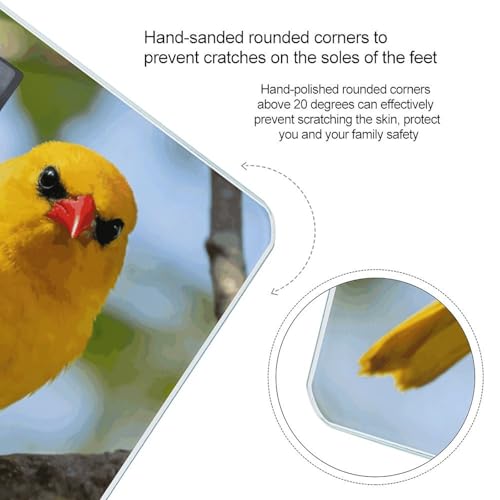 Báscula digital de baño Oriole de vidrio templado miniatura 4