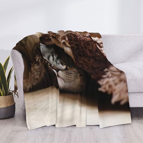 Couverture de lit chat pour des soirées cocooning et nuits douces - 6