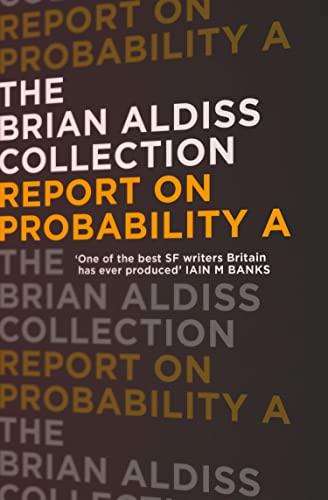  REPORT ON PROBABILITY A: A Gripping Domestic Noir Novel of Stalking and Suspense