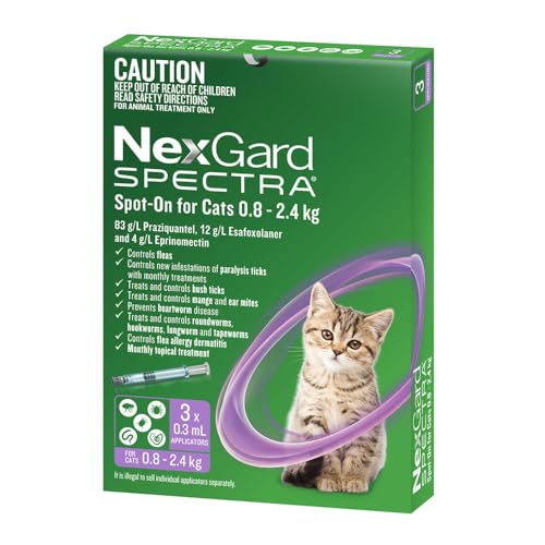 cat flea and tick prevention