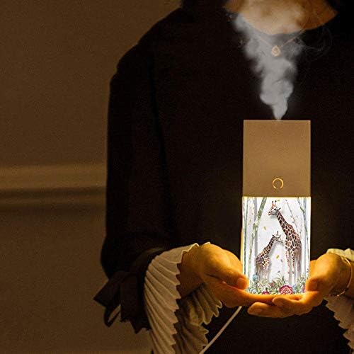 NP USB Charging Night Light Function Air Humidifier Aromatherapy 3D Embossed Humidifier for Car Desktop - White (Color : Deer)