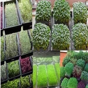 Image of Leafly Organic Fertilizer Potting Soil Mix Fertilizer for Plants (1 Kg)