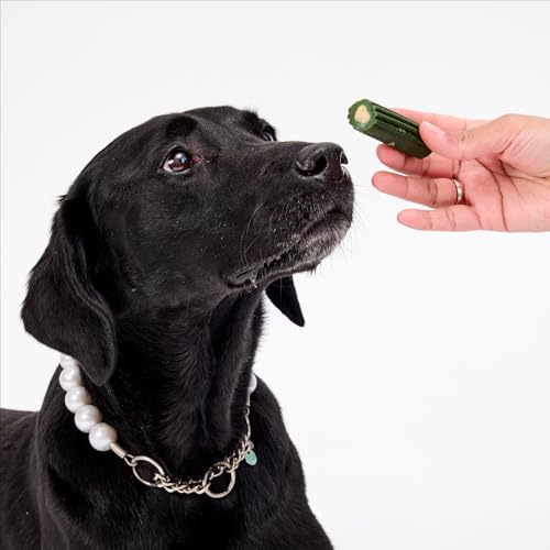 Image of Ark Naturals Brushless Toothpaste - Large Breeds, 54oz Bag - Dog Dental Chew with Toothpaste Center - Freshen Breath and Reduce Plaque & Tartar with Dental Chews for Dogs