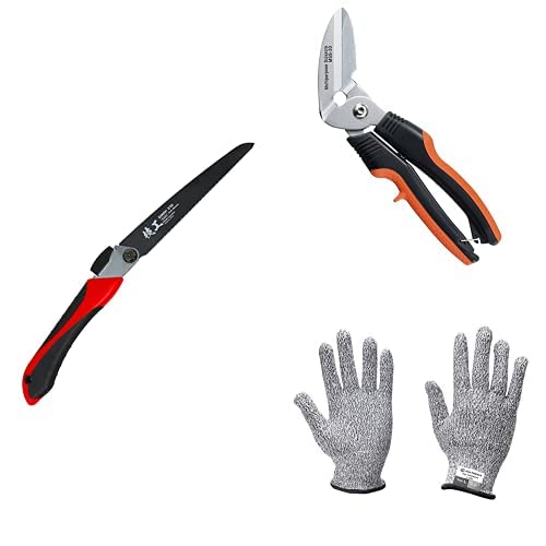 p ֐n܍210mm e傲̗݉p + ͖\ + ϐؑnLTCYyZbgz