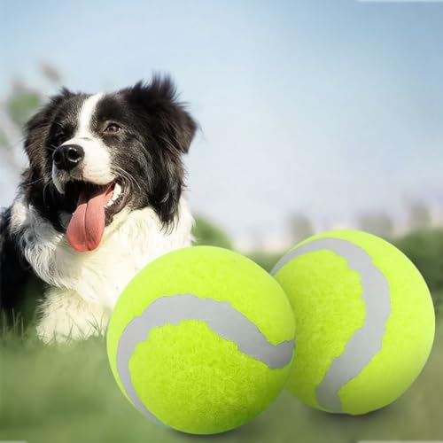 Kit 2 Bolas de Tênis para Cachorro, Brinquedo para Pet