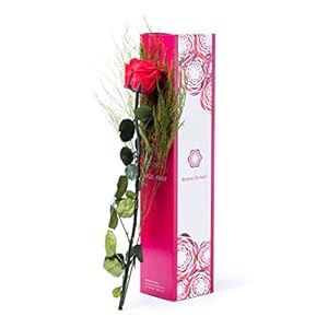 Rosen-Te-Amo | rosa eterna profumata a stelo lungo| foliage decorativo e biglietto auguri scaricabile| scatola regalo dal design raffinato|| Rose stabilizzate vere | idee regalo donna o regalo mamma
