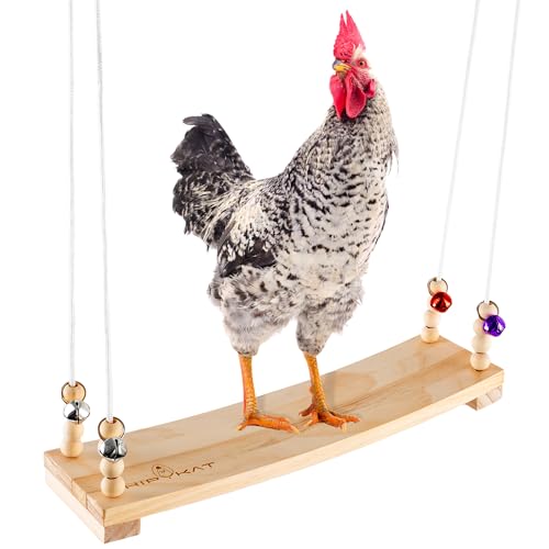 Chicken Swing Toy for Coop Accessories 16inch Wood Chicken Swing Gifts for Hens Rooster Poultry Parrots