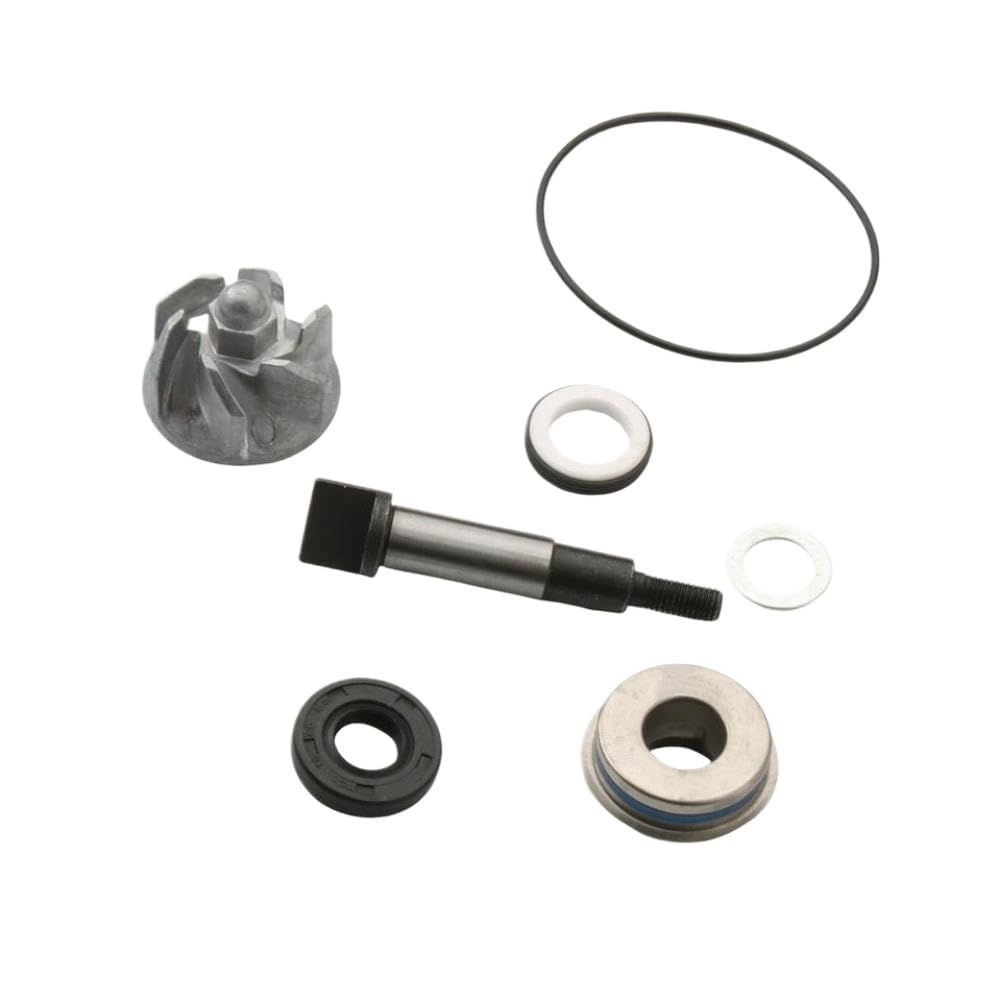 Kit di riparazione pompa acqua compatibile con SH 300 Forza 300 NSS300 SH NSS Scoopy 300i 100110520