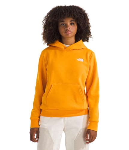 THE NORTH FACE Kids' Evolution Emb Pullover Hoodie | Sweatshirt for Boys & Girls With 2 Piece Hood, Kangaroo Pocket3
