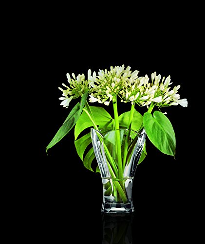 Spiegelau & Nachtmann 81211 Vaas,24 cm - Afbeelding 6