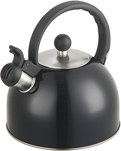 Zanzer 2.5 Liter Whistling Tea Kettle - Modern Stainless Steel Whistling Tea Pot for Stovetop with Cool Grip Ergonomic Handle