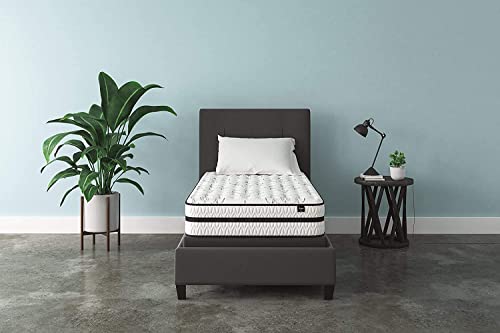 https://m.media-amazon.com/images/I/41wOBe2ALDL._SL500_.jpg