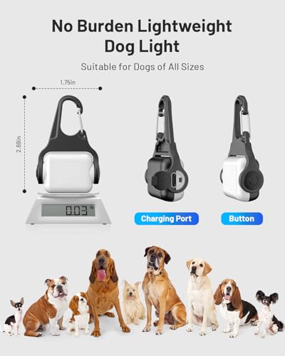 Lampe collier chien étanche IP65 et rechargeable 3 modes - 14