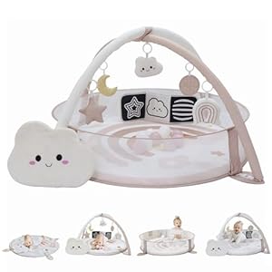 6-in-1 XL Play Mat & Play Gym, Baby Gym, Baby Activity Gym, Sensory Exploration and Motor Skill Development Toys (Blush)