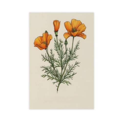 Toile coquelicot californien 50,8x76,2 cm tableau d'art mural élégant