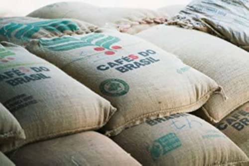 Café Robusta Orgánico Tostado Reciente en Grano 12oz miniatura 4