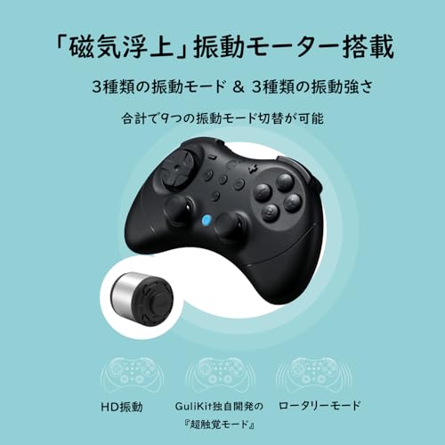 undefined GuliKit Elves 2Pro コントローラー 【Switch 2スリープ解除】 有線 ワイヤレス ホールスティック ドリフト防止 半自動/全自動連射機能 6軸ジャイロセンサー 振動調整可能 20時間連続使用 ゲームパッド switch コントローラー 超低遅延 800mAh大容量バッテリー Switch/Switch2/PC/Android/IOS対応 超軽量 薄型 コンパクト レトロ 保護ケース付き(Black) の商品画像 6
