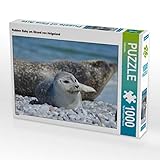 helgoland fotokurs Puzzle können die visuelle Wahrnehmung verbessern, die Koordination schulen, Stress reduzieren, lösungsorientiertes Denken fördern, die Produktion des Glückshormons Dopamin, sowie die Kreativität erhöhen