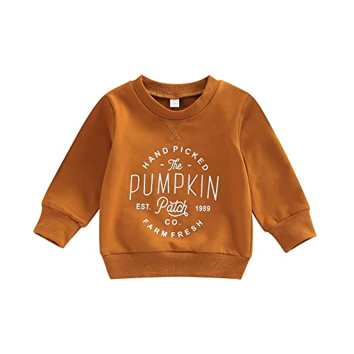 Toddler Baby Boys Girls Halloween Sweatshirt Pumpkin Crewneck Sweater Shirt Kids Fall Halloween Matching Clothes