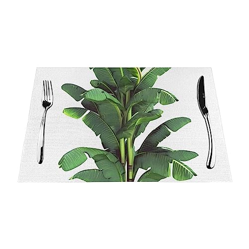 Set de table PVC résistant à la chaleur pour repas en extérieur