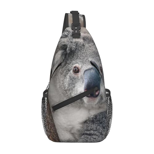 ̂т RA X|[c{fBobO΂߂ |[`tV_[tւ EGXg΂߂W[