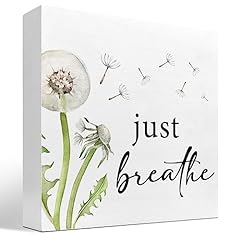 Just Breathe