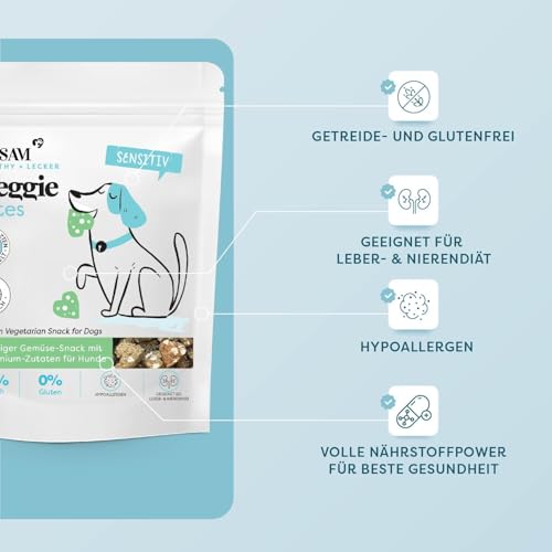 Dr. SAM Veggie Bites für Hunde – Vegetarische Hundesnacks mit Buchweizen, Karotten & Spirulina – Hypoallergen & Glutenfrei – Natürliche Leckerlis für Sensible Hunde - 200g
