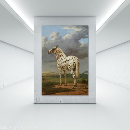 Impression sur toile Paulus Potter Le cheval Piebald pour sublimer un mur vide