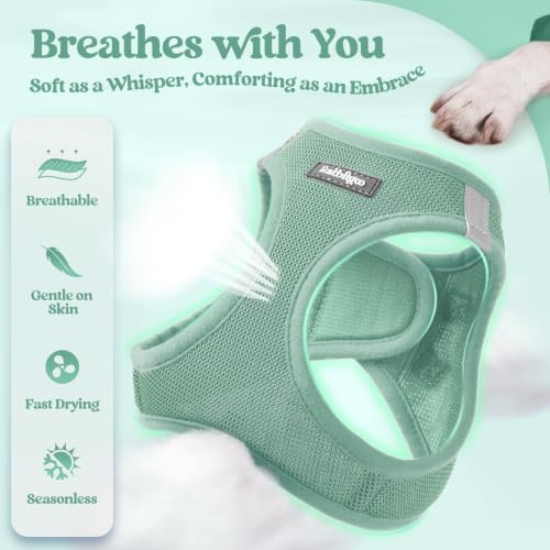 Image of rabbitgoo Dog Harness Small Sized and Leash Set, Step-in Puppy Pet Vest