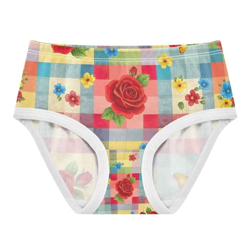 Kids Underwear Girls, Colored Squares Floral Toddler Girl Briefs, Cotton Girls Underwear, 2T–8 Years