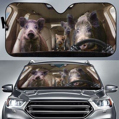 Pare soleil voiture pliable protecteur pare-brise universel été