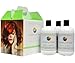 Produktbild ColorpHlex Salon Kit