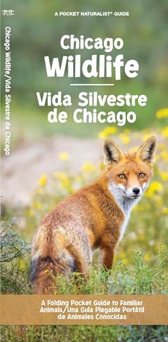 Chicago Wildlife/Vida Silvestre de Chicago (Nature Observation North America)