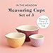 Mason Cash In The Meadow (Set of 3 Measuring Cups)