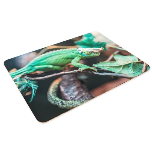 Grand format 39,5 x 28,5 cm sets de table souples napperons vie sauvage