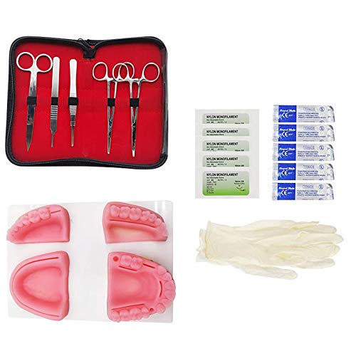 Kit De Prática Sutura, Oral Para Treinamento Odontológico, 21 Peç...