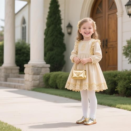 Image of GINFIVE Toddler Girls Dress Shoes Little Kids Flats School Mary Janes Shoes