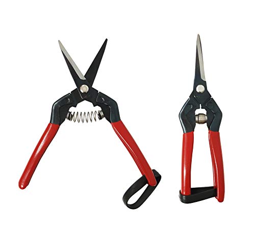 BFA Fresh Garden Tools - Professional Hand Pruner Gardening Scissors with Straight Sharp Steel Blades for Trimming Branches, Plants, Flowers