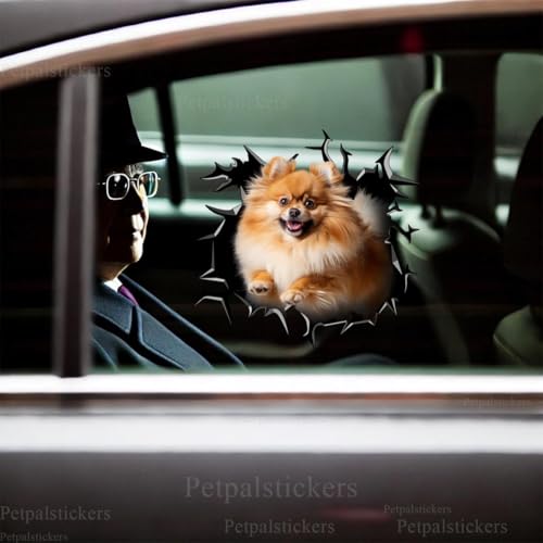 Image of Vinyl Dog Car Decals for Women - Pomeranian Stickers - Car Gift for Dog Lovers