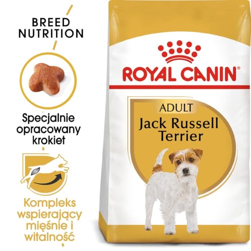 Royal Canin Jack Russel Adult 1,5 kg, 1er Pack (1 x 1.5 kg)