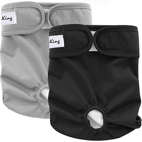 LeerKing Female Dog Nappies, 2 Pack, Size S