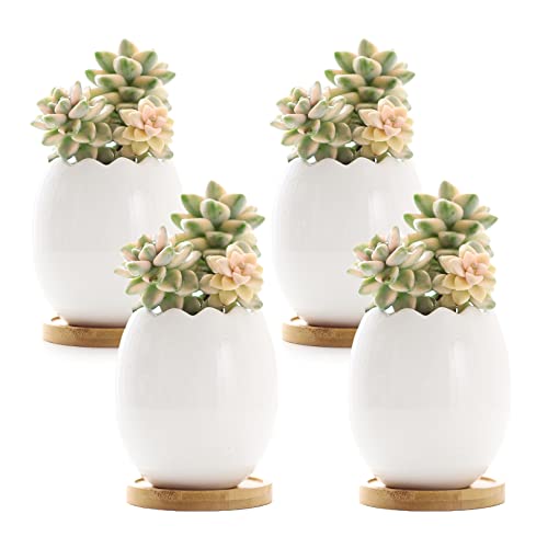 Rose Create 4 Pcs 3.6 Inches Egg Shell Pots, Little White Ceramic Succulent Bonsai Pots With A Hole - Pack Of 4 (Egg Shells) #TOP16