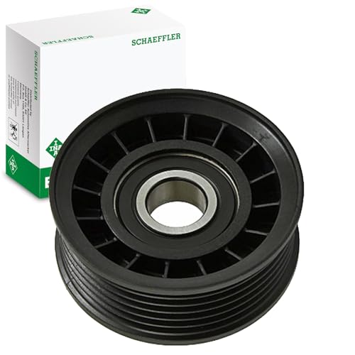 Poulie de déflexion Ina 532064910 ABDS pour éliminer les bruits de courroie