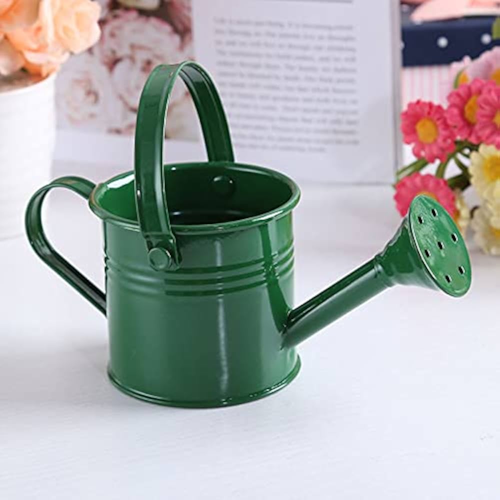 小物 NeonNEIGHBORHOOD SRL / P-WATERING CAN 小物 NeonNEIGHBORHOOD SRL / P-WATERING CAN Hachiman Garden
