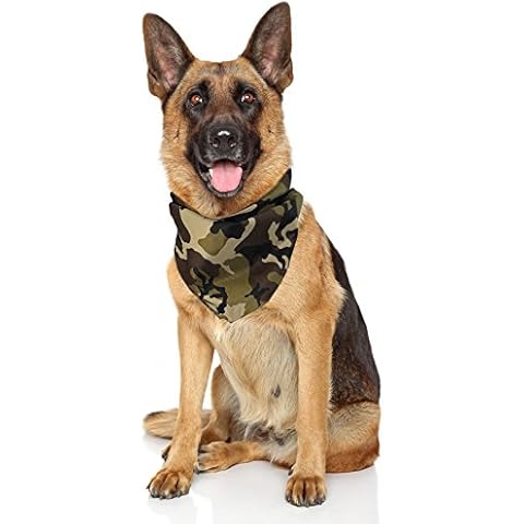 Pañuelo para Perros Camo Costume Adventure Cover