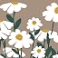 White Beige